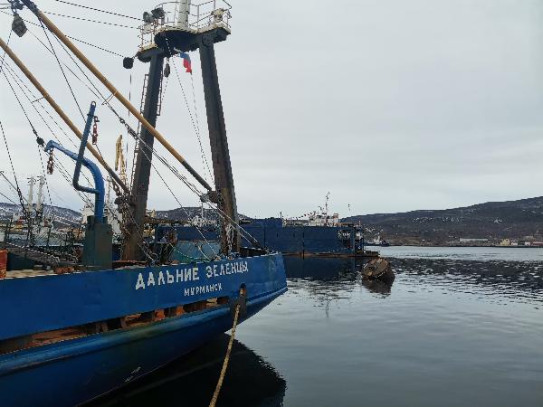 Картинка Экскурсии Мурманска