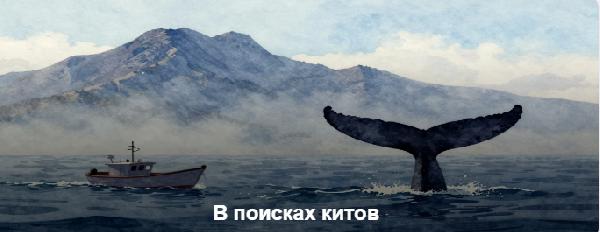 Картинка Экскурсии Мурманска