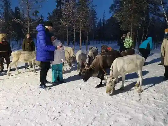 Картинка Экскурсии Мурманска