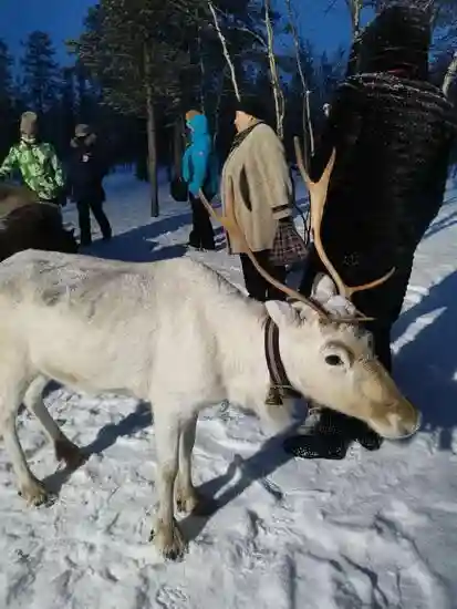 Картинка Экскурсии Мурманска
